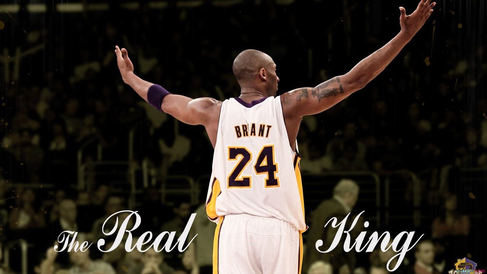 澳网：澳大利亚猛将再夺单打冠军！，澳大利亚网球比赛直播